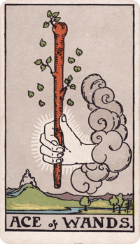 Ace of Wands tarot card